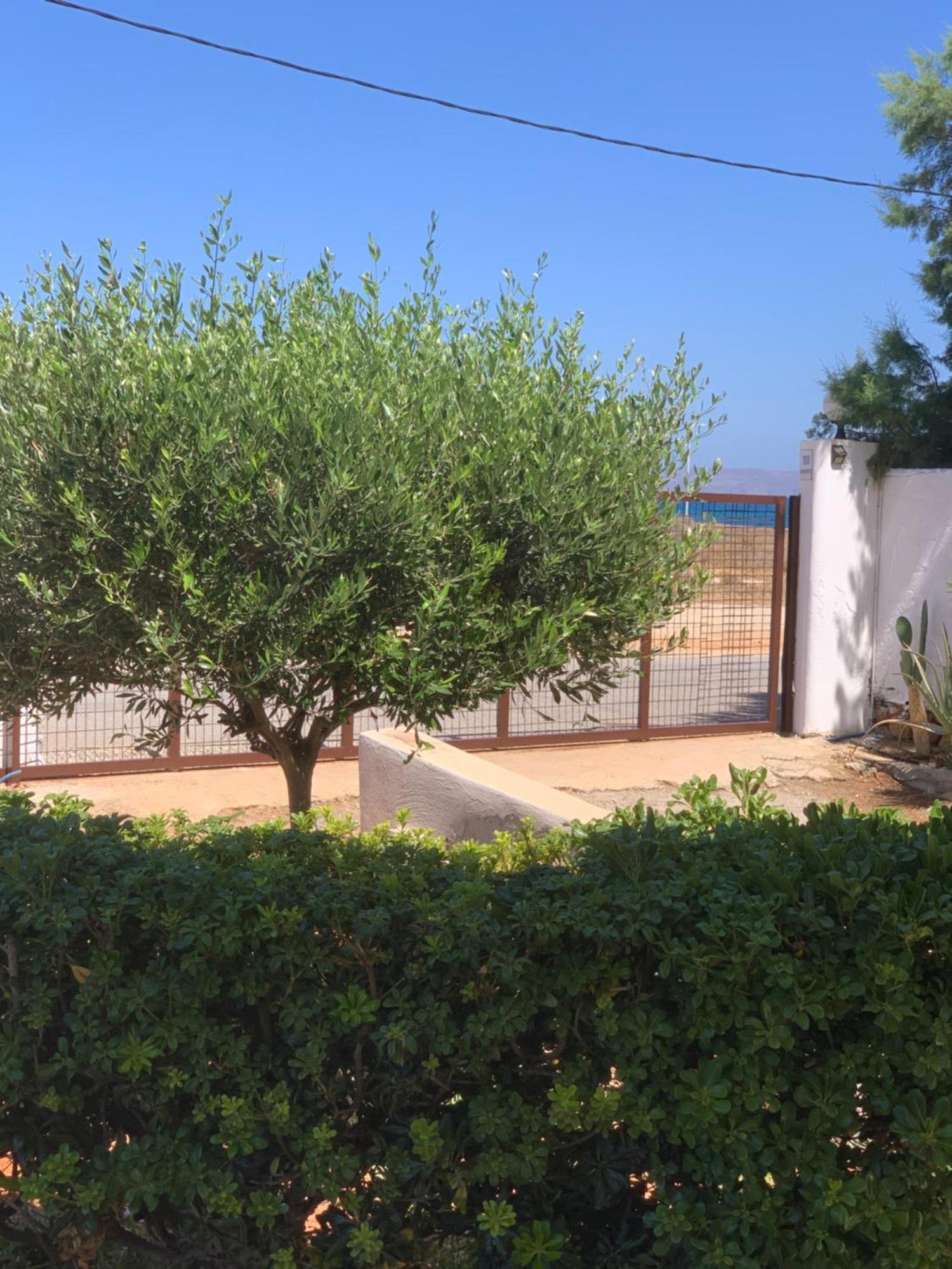 Apartament Teo 2 Guwes Zewnętrze zdjęcie